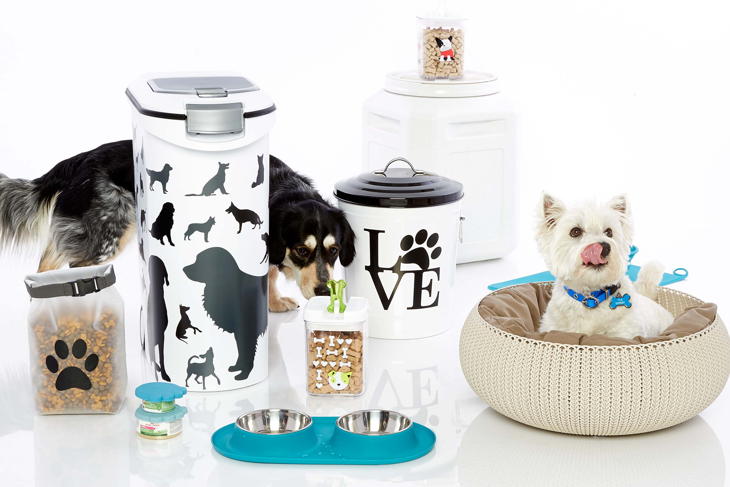 Perfect Pet Products For Fido And Co Container Stories